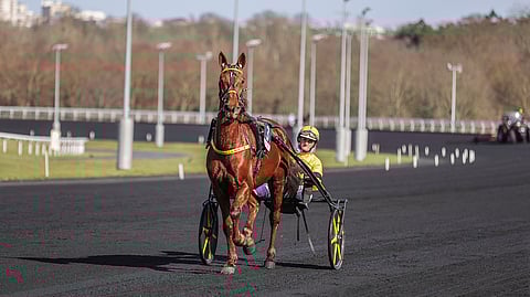 Iroise de la Noe voitti Prix de Belgiquen vakuuttavasti. Mutta miten käy Prix d`Amériquessa?