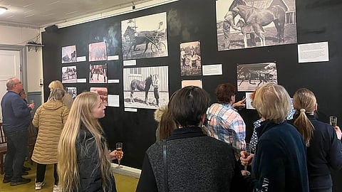 Kulttuuritalo Lilla Villanin kahvilagalleriassa on esillä hevosaiheinen valokuvanäyttely.