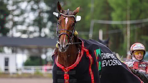 Tapio Perttusen valmennuksesta Suomen-uransa tehnyt Global Chit Chat myytiin lauantaina Traverassa siitostammaksi.