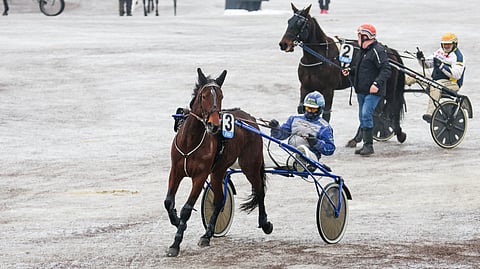 Talvi tekee tuloaan myös pääkaupunkiseudulle.