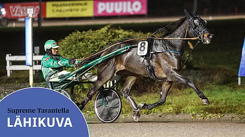Supreme Tarantella kiihdyttää Kuopion kierroksella poisjäännin myötä eturivin sisimpää.