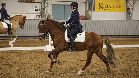 Unetun Elmo otti sunnuntain luokan valmisteluksi perjantaina vaativa B -voiton.
