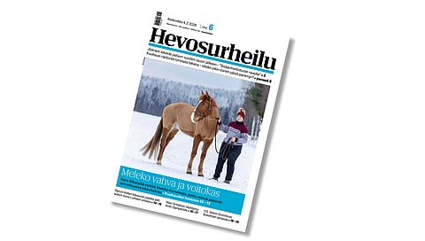 Hevosurheilun kansikuvahevosena Meleko Kommee ja Nora Mäenpää.