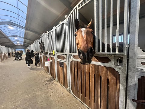 Jay Jay van de Mottelhoeve on rankingpistehai.