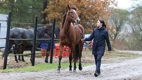Hanna Lepistön valmentama Ete Jet tähtää kesän suurkilapiluihin. Arkistokuva.