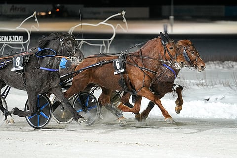 Profiili (6) puristi tiukassa kamppailussa parhaiten.