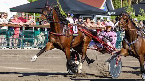 Bubble Effe, Tom Erik Solberg