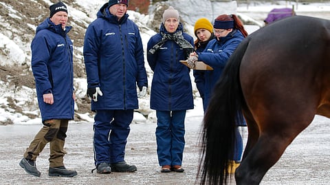 Juoksijaoripäivillä oriit rakennearvostellaan. Lämminveriset ravihevoset arvostellaan tuoteselostemallilla, suomenhevosista annetaan muun arvostelun lisäksi kirjallinen selvitys suvusta ja suorituksista.