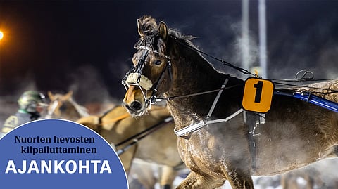 Myös ikäluokan kirkkaimman kärjen takana kilpaileville nuorille hevosille on pyritty rakentamaan kehittävä kilpailupolku sekä suomenhevosten että lämminveristen sarjoissa.