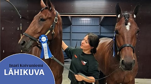 Slipstream Zon (vas.) ja Florenzo kuuluvat Inari Koivuniemen passihevosiin.