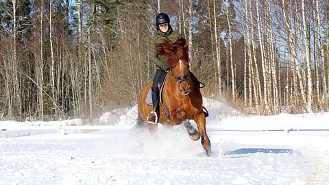 Lumi pöllyämään elämän hevosen kanssa.