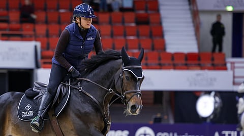 C-I’m the Man VK Z ja Nina Fagerström testiratsastajana vuoden 2024 arvioinnissa.