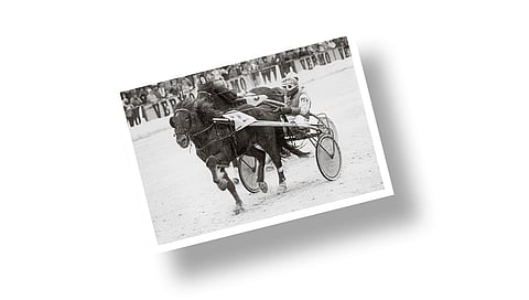 Kuva-arvoitus – tunnistatko kuvan hevosen ja ihmisen?