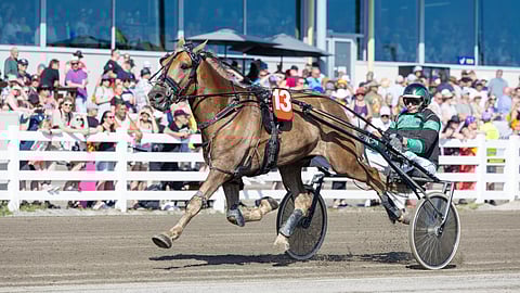 Harjan Valtias ja Jukka-Pekka Niskanen valloittivat Oulun Äimäraution viime kesän Kuninkuusraveissa.
Perjantaina kaksikko pyrkii samaan.