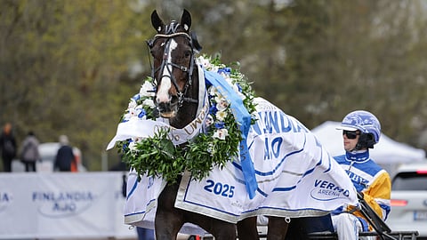 Daniel Wäjersten ravivalmentaja