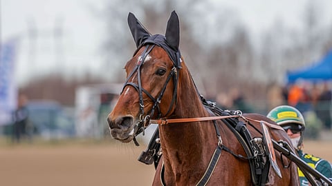 Massimo Hoist Seinäjoki Race 18.4.2025
