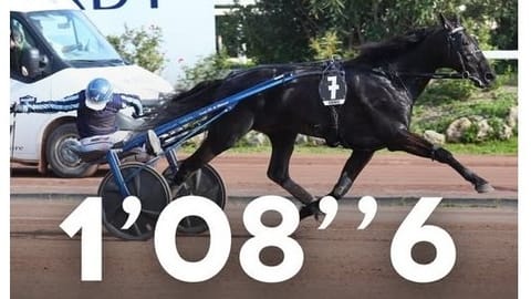 Ravit Cagnes-Sur-Mer