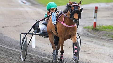 Esther Ståhl taputtaa kiitoksen Eliza Weelle, nyt 7-vuotiaalle B-ponille.