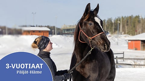 Josefiina Lehtonen esittelee Zoe Kempiä, joka on Kemp-kasvateista ZZ Top Kempin ohella kehityksessään pisimmällä.