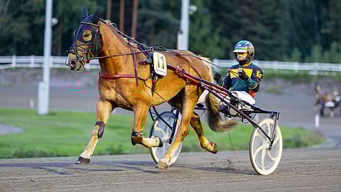 Landen Kundi ja Jani Suonperä