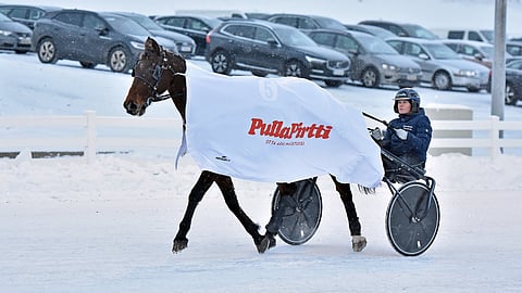 Felix Orlando voitti tammikuussa Oulussa ajetun Toto75-lähdön.
