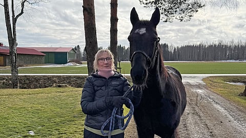Rosi’s Victor viettää leppoisia eläkepäiviä Tuula Niemistön hoidossa.