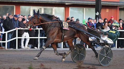 Massimo Hoist ja Hannu Torvinen