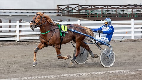 Jarmo Saarela pääsi tyylittelemään Meno-Antin kyydissä Arctic Ice King -lähdössä.