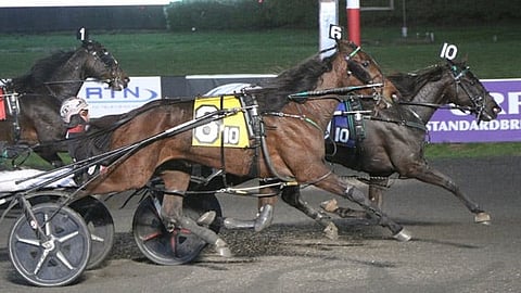 Ravit Meadowlands Olli Koivunen