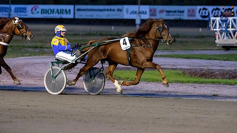 Kari Venäläinen on ohjastanut lähes kaikki Kiitävän uran tähänastiset startit. Perjantaina rattaille kohoaa Tommi Kylliäinen.