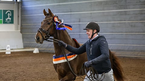 Sunrays Flower voitti vuoden 2026 ratsuoripäivät. Kalle Kokkonen juoksi kunniakierroksen.