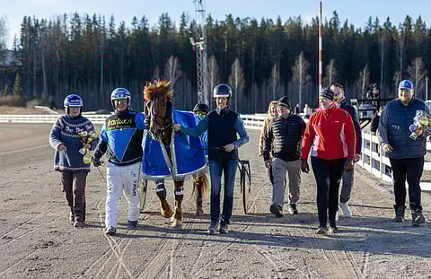 Morison pääsi jälleen juhlinnan kohteeksi.