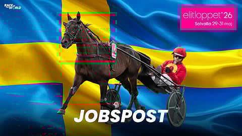 Elitloppet Solvallassa