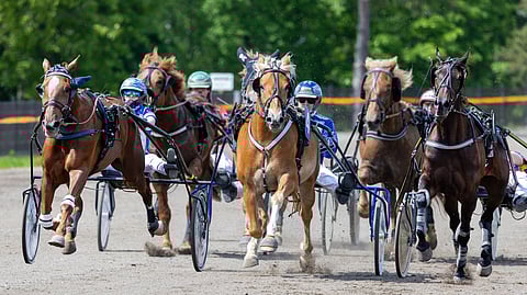 Tämä tulee olemaan tuttu näky ensi kesänä.