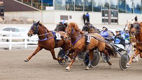 Pro (8) kirii Santtu Raitalan ohjastamana niukasi ykköseksi ohi Morisonin.