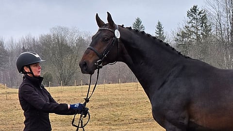 Kati Lekander esitti Quallen.