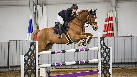 Susanna Rautasen ilonaihe on For Treasure CL Z, rautias ruuna, joka tekee kaiken aina oikein, oli se kisoissa tai kotona.