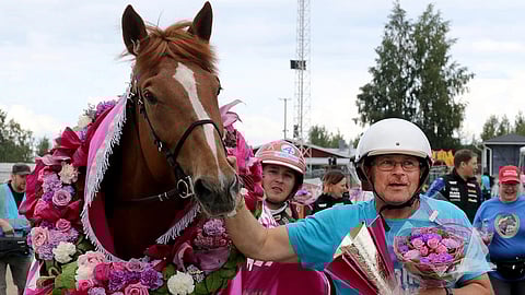 Virin Camilla oli Reino Miettisen elämän hevonen.