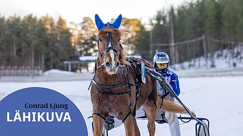 Jarmo Saarela on ottanut Conrad Ljungiin tuntumaa kahdesti sen uran aikana.