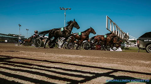 Solvalla arvostaa suomalaisia – "Raviristeilijät 10 prosentin luokkaa koko yleisömäärästä"