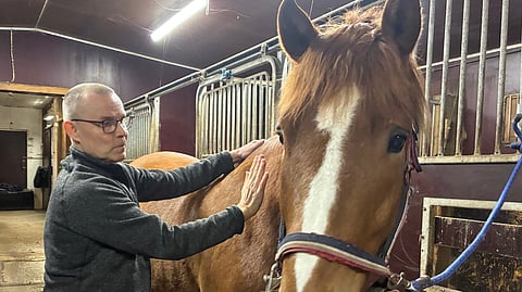 Oulun yliopiston dosentti valitsi hevoset. Vai menikö se toisinpäin?