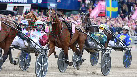 Massimo Hoist ja Hannu Torvinen, Elitloppet 2025