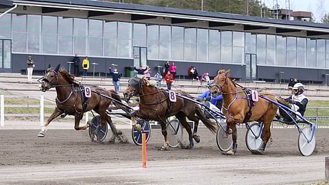 Vänrikki (9) kirii ulkoa kärkeen. Häijymies (8) on urhea kakkonen ja Siirin Veeti kolmas.
