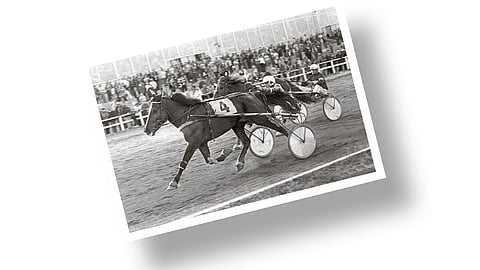 Kuva-arvoitus: Tiedä tai arvaa mikä parivaljakko?