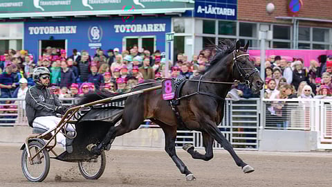 Ravit Solvalla