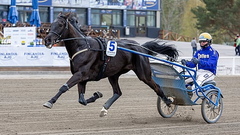 Betting Pacer on osallistunut Finlandia-Ajoon kahdesti aiemmin urallaan.