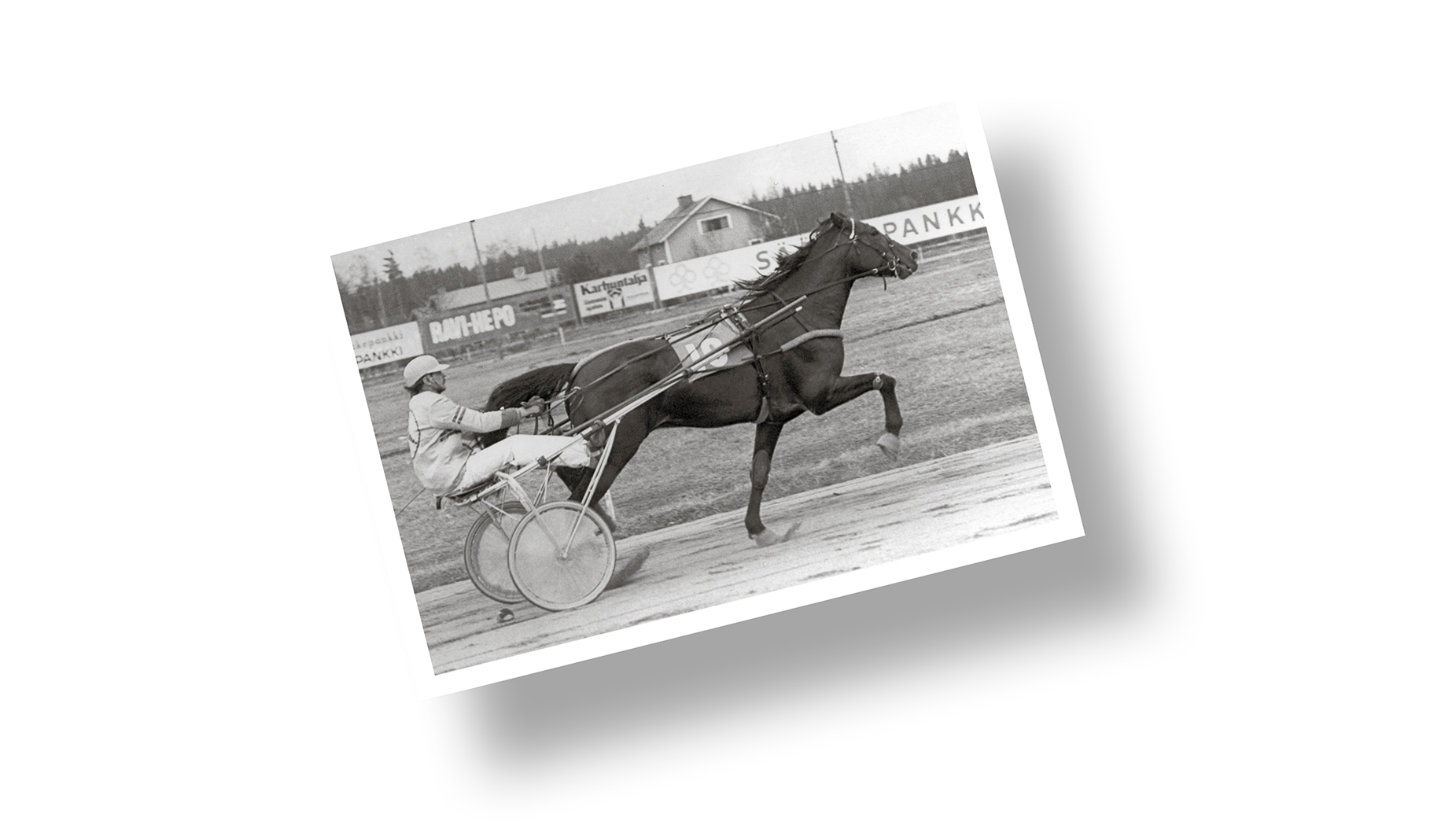 Kuva-arvoitus: Tiedä tai arvaa mikä parivaljakko?