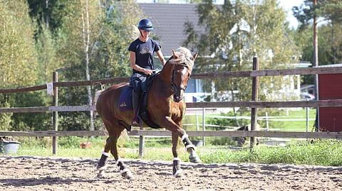 Hiljalan Fantom ja ratsastajansa Irina Kokko.