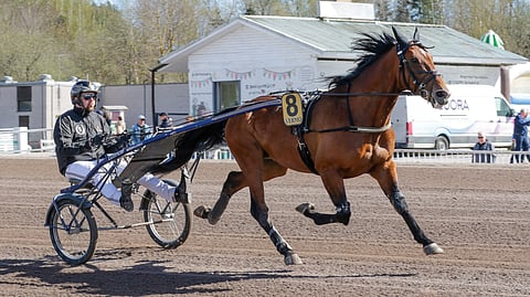 Imperator, Daniel Reden