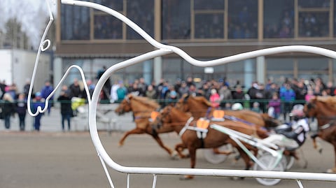 Viikon pääravit ajetaan lauantaina Seinäjoella.